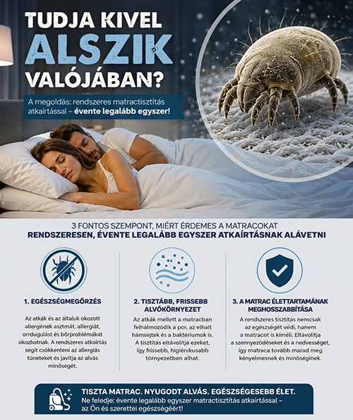 Matractisztítás és atkairtás – házipor-atka (poratka) mikroszkopikus közelről, a leggyakoribb beltéri allergénforrás